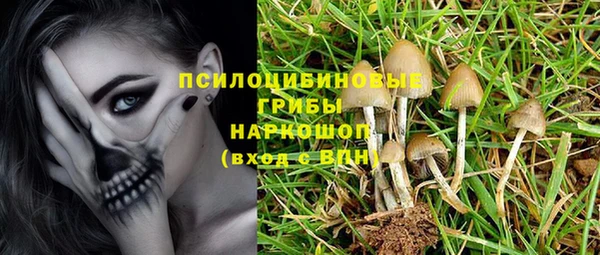 ПСИЛОЦИБИНОВЫЕ ГРИБЫ Арсеньев