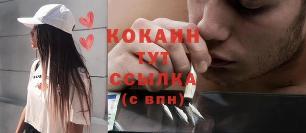 ПСИЛОЦИБИНОВЫЕ ГРИБЫ Арсеньев