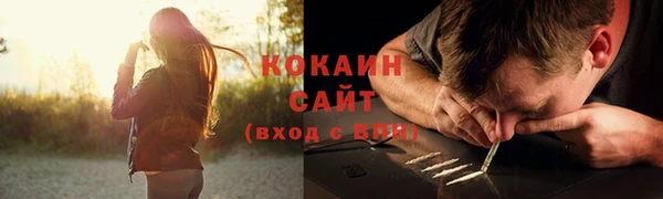 ПСИЛОЦИБИНОВЫЕ ГРИБЫ Арсеньев