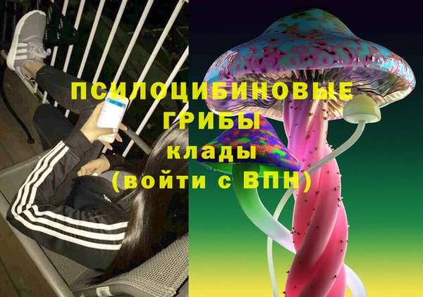ПСИЛОЦИБИНОВЫЕ ГРИБЫ Арсеньев